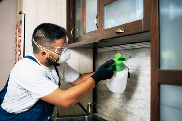 Insect Control in Westminster, MD